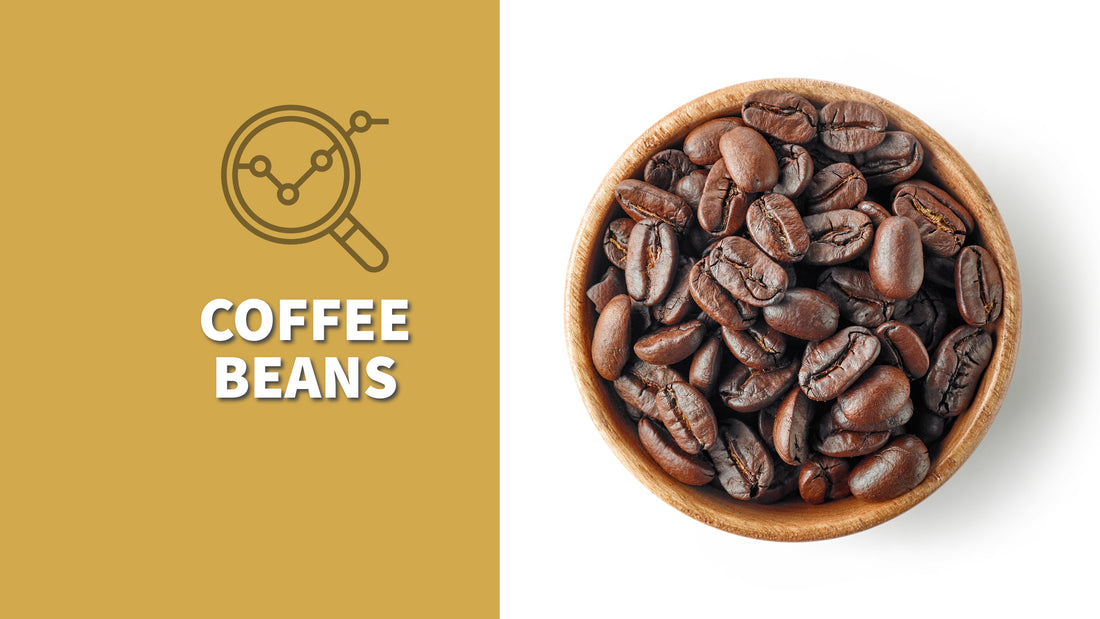 Coffee Bean Guide