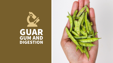 The Magic of Guar Gum: A Deep Dive into Its Origins and Impact on Gut Health