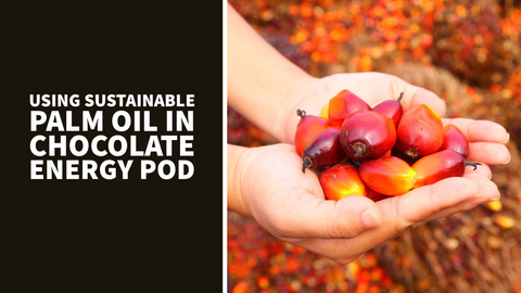 Sustainably Sourced Palm Oil: The Heart of Our Chocolate Energy Pods