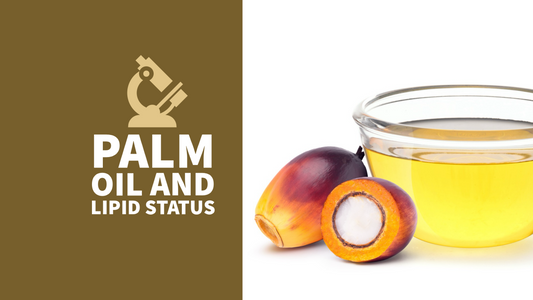 Palm Oil and Lipid Status, Study Findings