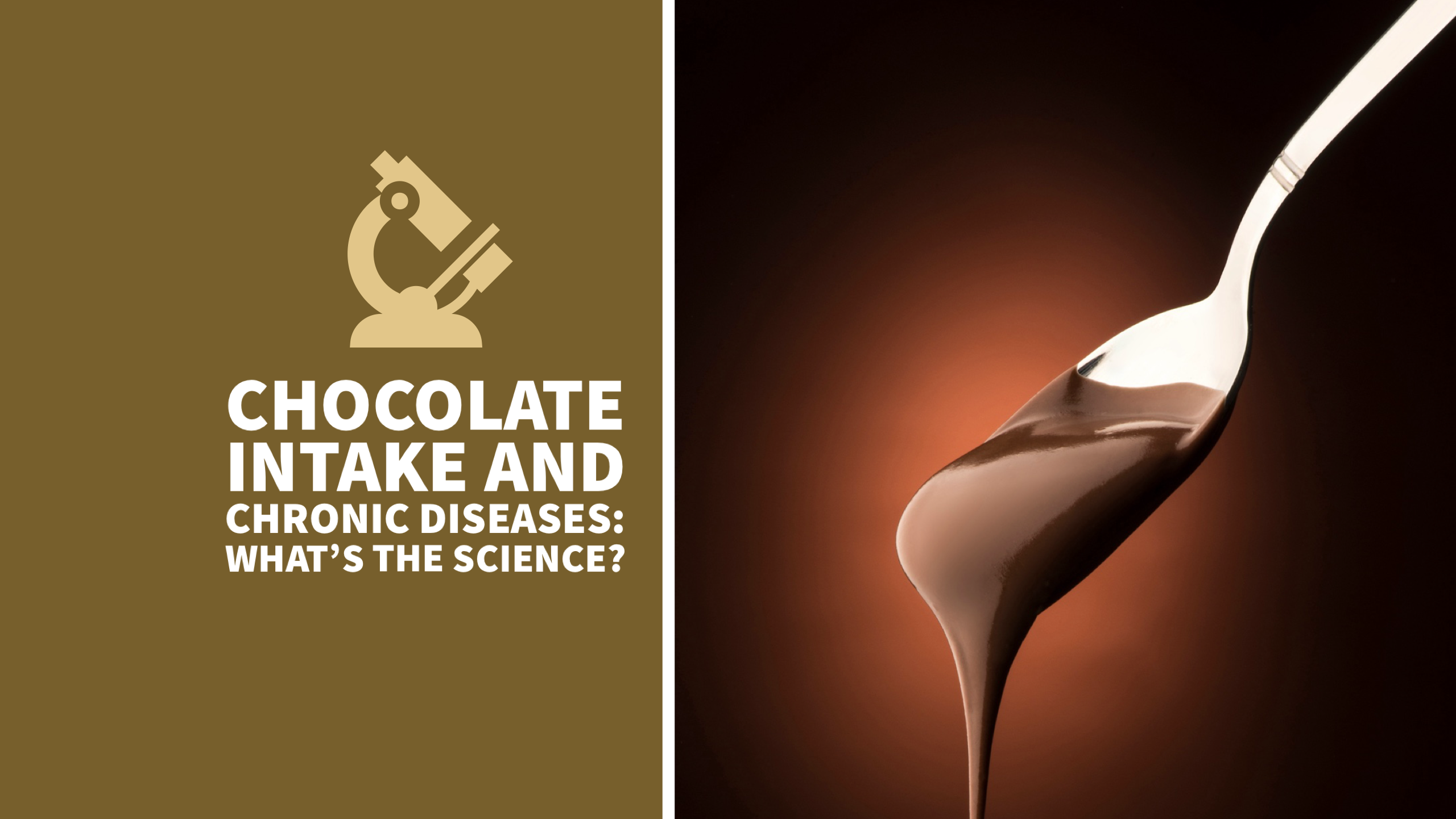 does-chocolate-cause-chronic-disease-kg-food-company