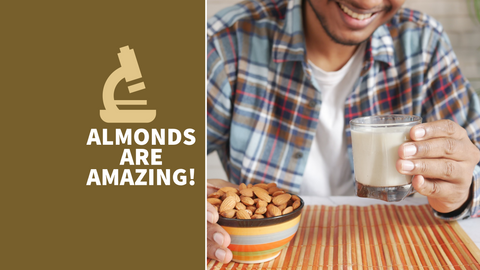 Almond Power: How Eating Almonds Can Help Reduce Diabetes and Cardiovascular Risks