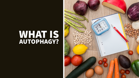 Exploring Autophagy: Beyond Fasting and Its Impact