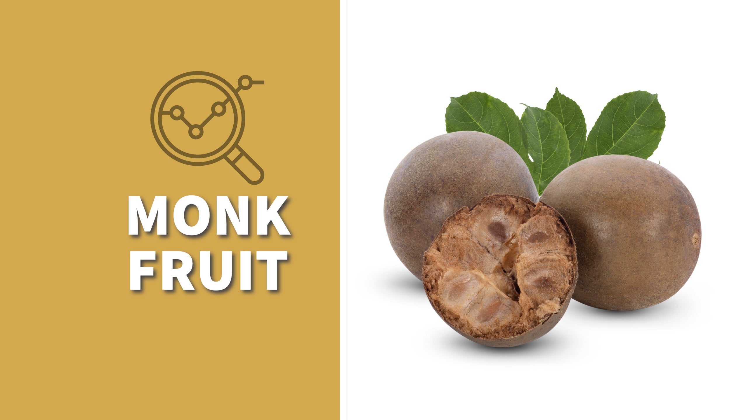 Monk Fruit Guide KG Food Company