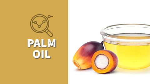 Palm Oil Guide