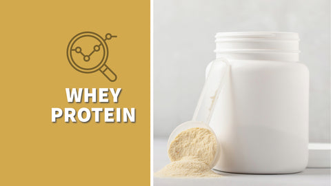 Whey Protein Guide