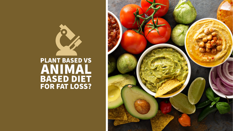 Beyond Diet Wars: Does Replacing Animal Products with Plant-Based Diet Really Lead to Weight Loss?