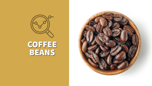 Coffee Bean Guide