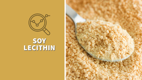 Soy Lecithin Guide