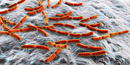 New Studies Challenge the Benefits of Probiotics